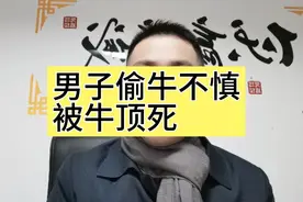 男子偷牛不慎被牛顶死，小偷亲属要求赔偿50万，看法律如何规定？视频封面