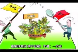 抵制转基因，刻不容缓！视频封面