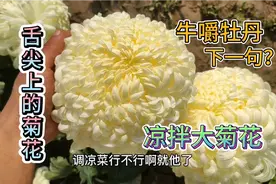 舌尖上的菊花之凉拌菊花，美味的食物源自新鲜的食材，现摘现吃。视频封面