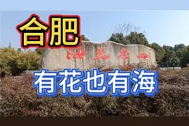 安徽合肥四季花海公园，有花也有海，今天人比较多，还有搭帐篷的视频封面