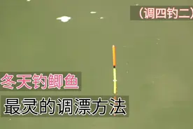 调漂：最灵的调漂方法分享，冬天钓鲫鱼再轻的鱼口都能掌握！视频封面
