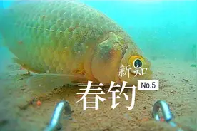 午时鱼难钓，钓鱼人头上的“紧箍咒”，有一招可破，只在春季管用视频封面