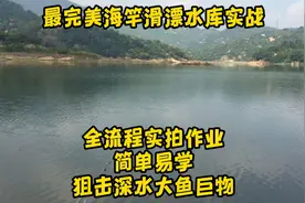 最完美海竿滑漂水库实战，全流程实拍作业，简单易学狙击深水巨物