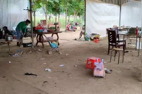 家庭主妇的生活，儿媳妇在扫地，婆婆叫儿媳妇去摘圣女果视频封面