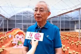北大林志彬教授：灵芝和灵芝孢子粉抗疫研究视频封面