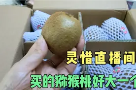 买的猕猴桃到了，全是硬的，灵惜说的方法真好，分这3种方法存放视频封面