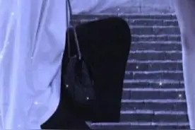 情侣头像视频封面