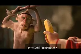 为什么我们会感到饥饿？原来是身体在发出求救信号！视频封面