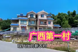 实拍广西第一村富甲一方，家家户户住百万大别墅，人均收入20万视频封面