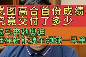 新能源高端SUV8月交付榜，岚图高合红旗谁领风骚，BBA又成绩如何视频封面