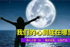我们的心到底在哪里？寻心之旅（5）：随所合处，心则产出视频封面