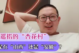 牧童遥指的“杏花村”，到底是在山西还是在安徽？视频封面