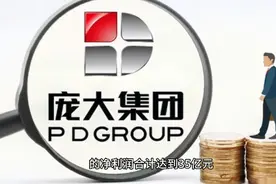 庞大集团与深商控股视频封面