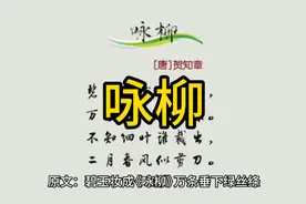 《咏柳》贺知章
不知细叶谁裁出，二月春风似剪刀。视频封面