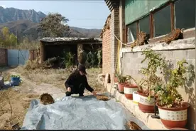 70后女人离开城市独居山里，一个人的独处，胜过无意义的喧嚣视频封面