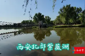 西安北郊紫薇湖，风光秀丽迷醉人。夏日避暑胜地，您去过吗？视频封面