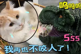 教育猫咪不要乱挠人，可她一句也没听进去，今天狗狗吃的是回忆！视频封面
