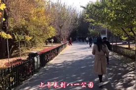 内蒙古疫情防控形势严峻，包头市极力防疫，公园里也做到了严管视频封面