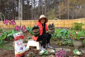 美国养房子太贵不划算，是不是很多人都是租房住？视频封面