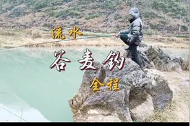 冬季野河钓鲤鱼，一招教你流水逗钓，快来看看视频封面