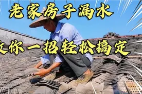 老房子漏水，用传统的盖瓦技术，教你一招轻松搞定，盖好不会漏水视频封面
