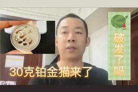 2022年熊猫币30克铂金币现货陆续进入市场 价格跌破发行价了吗视频封面