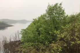 南水北调巨大工程，亚洲第一大的人工水库，～丹江口水库！视频封面