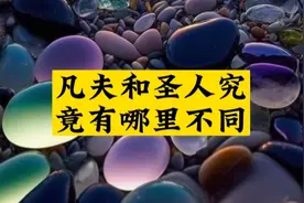 世界上一切现象都是虚妄的，凡夫不懂故而拼命追寻，那圣人如何呢视频封面