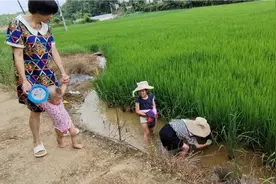 农村孩子暑假玩得欢，下田捉蝌蚪摸螺丝，城里孩子想玩没机会视频封面