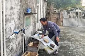 大叔养的土蜜蜂全跑了，还说是喂白糖水，最强的蜂窝也没了视频封面