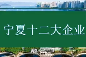 宁夏十二大企业视频封面