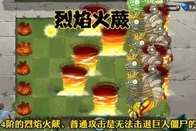 植物大战僵尸2：新植物烈焰火蕨视频封面