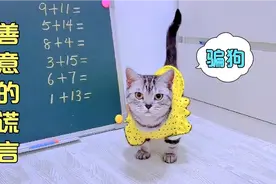 猫咪只用一招，就让狗狗乖乖听话视频封面