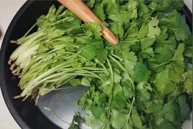 90岁老奶奶经常用香菜这样吃，三高平稳，身体棒棒哒视频封面