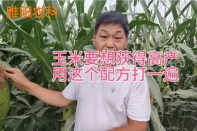 玉米增产最关键的一遍药，开花授粉后喷一次，籽粒饱满产量高视频封面