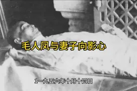 毛人凤与妻子向影心视频封面
