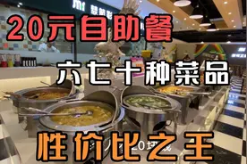 沈阳华府天地20元自助餐，性价比之王，六七十种菜品随便吃视频封面