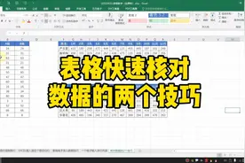 表格快速核对数据的两个技巧视频封面