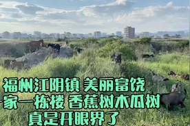 福清市的江阴镇，富饶小镇，美丽安宁。一家一栋楼一小院！关注我视频封面