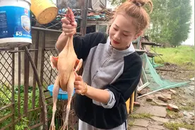 农村正宗溜达鸡，小媳妇放一筐鲜蘑炖，汤鲜肉香太好吃了。视频封面