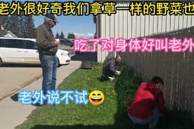 老外很好奇我们拿草一样的野菜也可以吃，叫老外试试老外说不试。视频封面