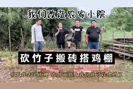 改造农家小院启动，大伙齐上阵一起盖鸡圈，二胖和小义干活很卖力视频封面