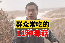群众常吃的11种毒蘑菇视频封面