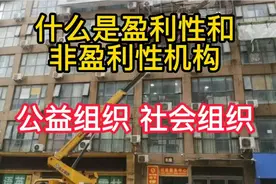 什么是盈利性与非盈利性？视频封面
