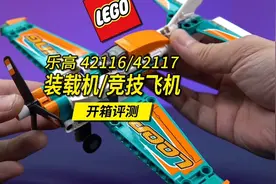 百元不到的两款乐高科技组套装42116/42117，日常送小孩挺不错！视频封面