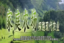 家庭农场介绍视频封面