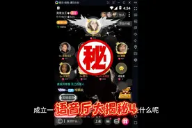 语音厅大揭秘、创业加盟等你来了解。万元投资多重收益