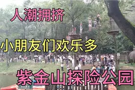 南京疫情解封了，大家出来放飞自我，紫金山探险公园人潮涌动！棒视频封面