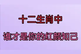 看完下面这段话，你知道十二生肖中谁才是你的红颜知己了吗。视频封面