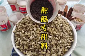 卤肥肠用的大料配方，去腥增香解腻，味道独特视频封面